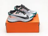 Nike Pegasus Trail 2 YY 2022新款 瑞亞機能風疾速系列越野緩震男女運動鞋