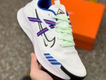 NIKE PEGASUS TRAIL 2 2023新款 男子緩震休閒跑步鞋